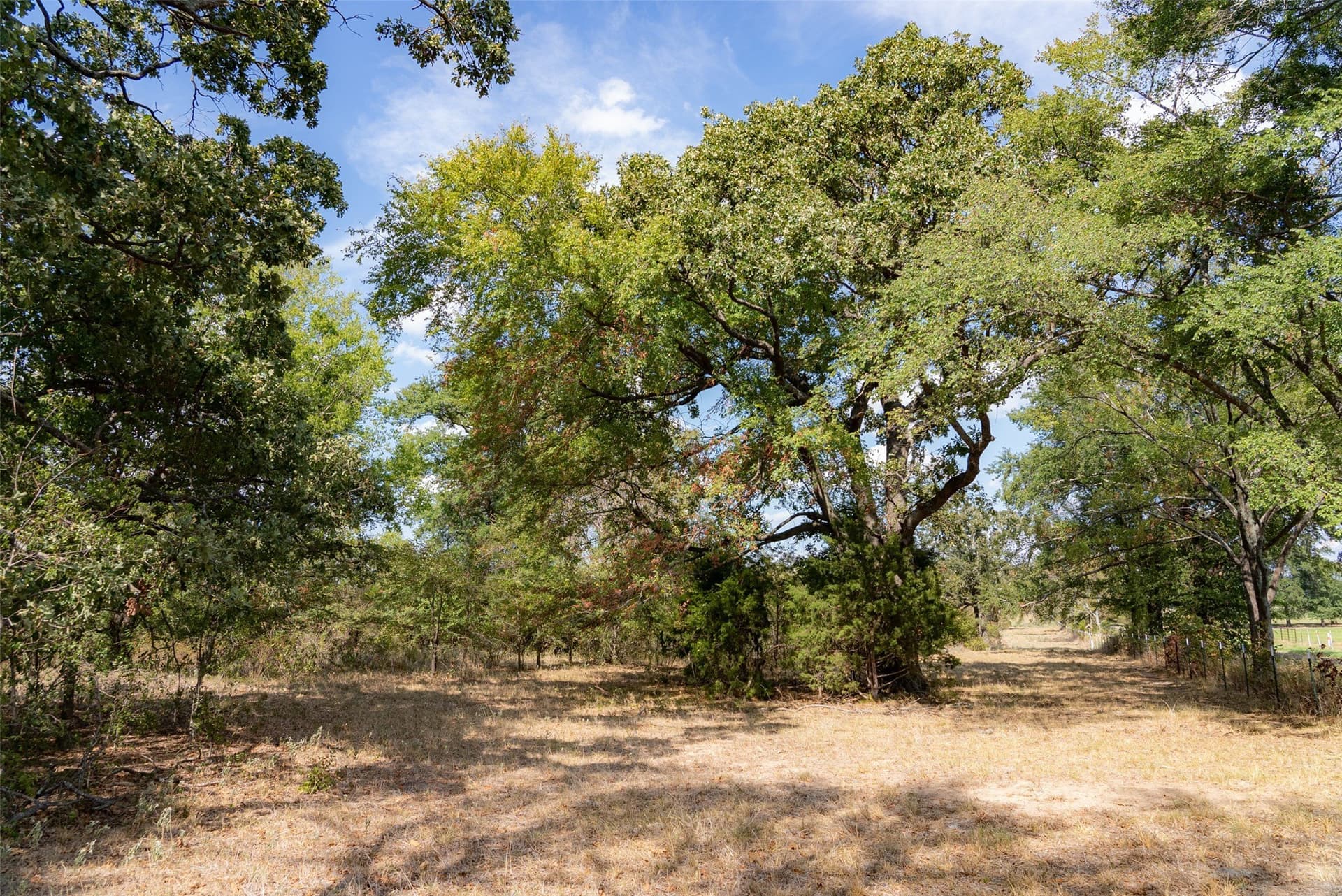 27.8 acres in Van Zandt County - photo 33