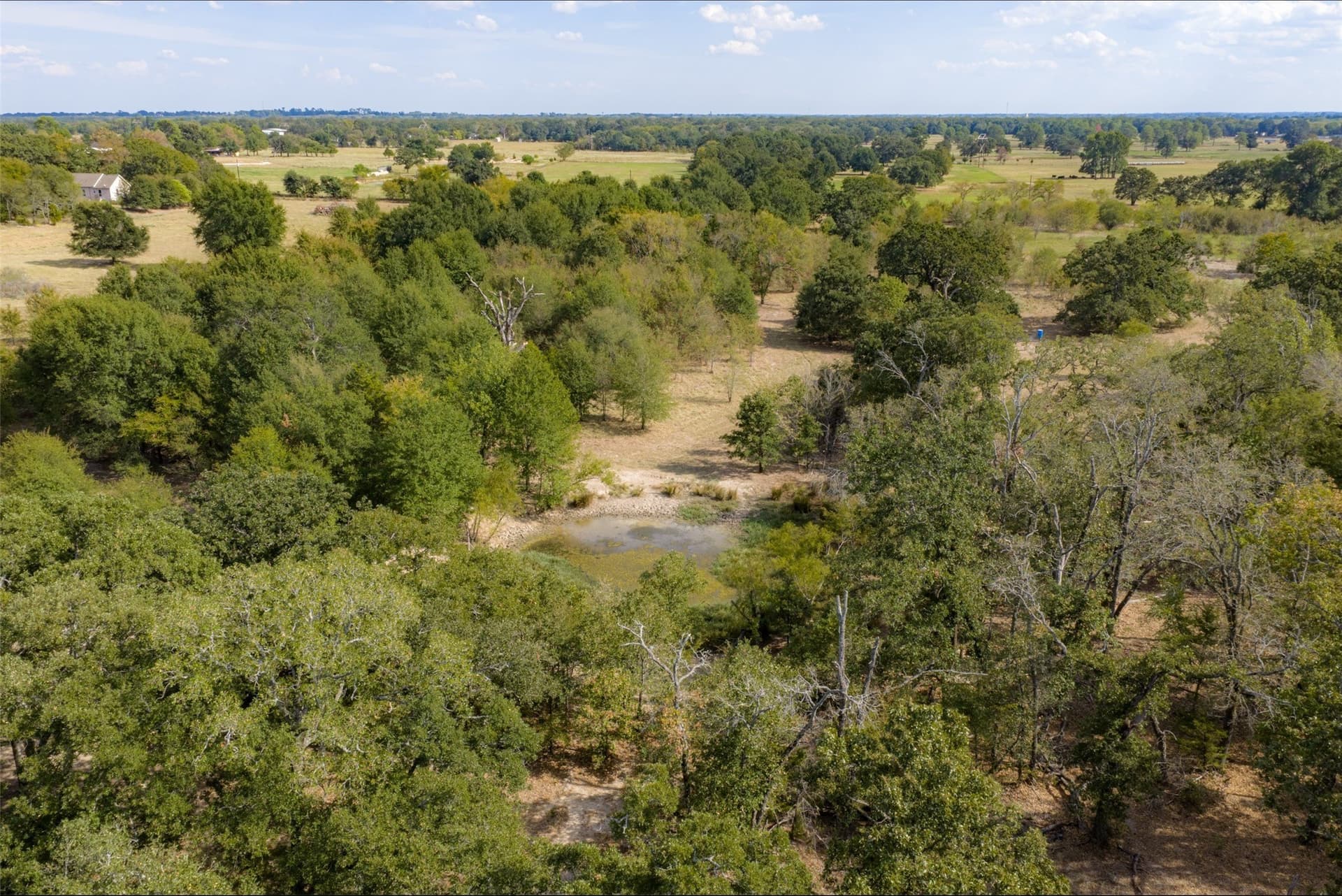 27.8 acres in Van Zandt County - photo 14