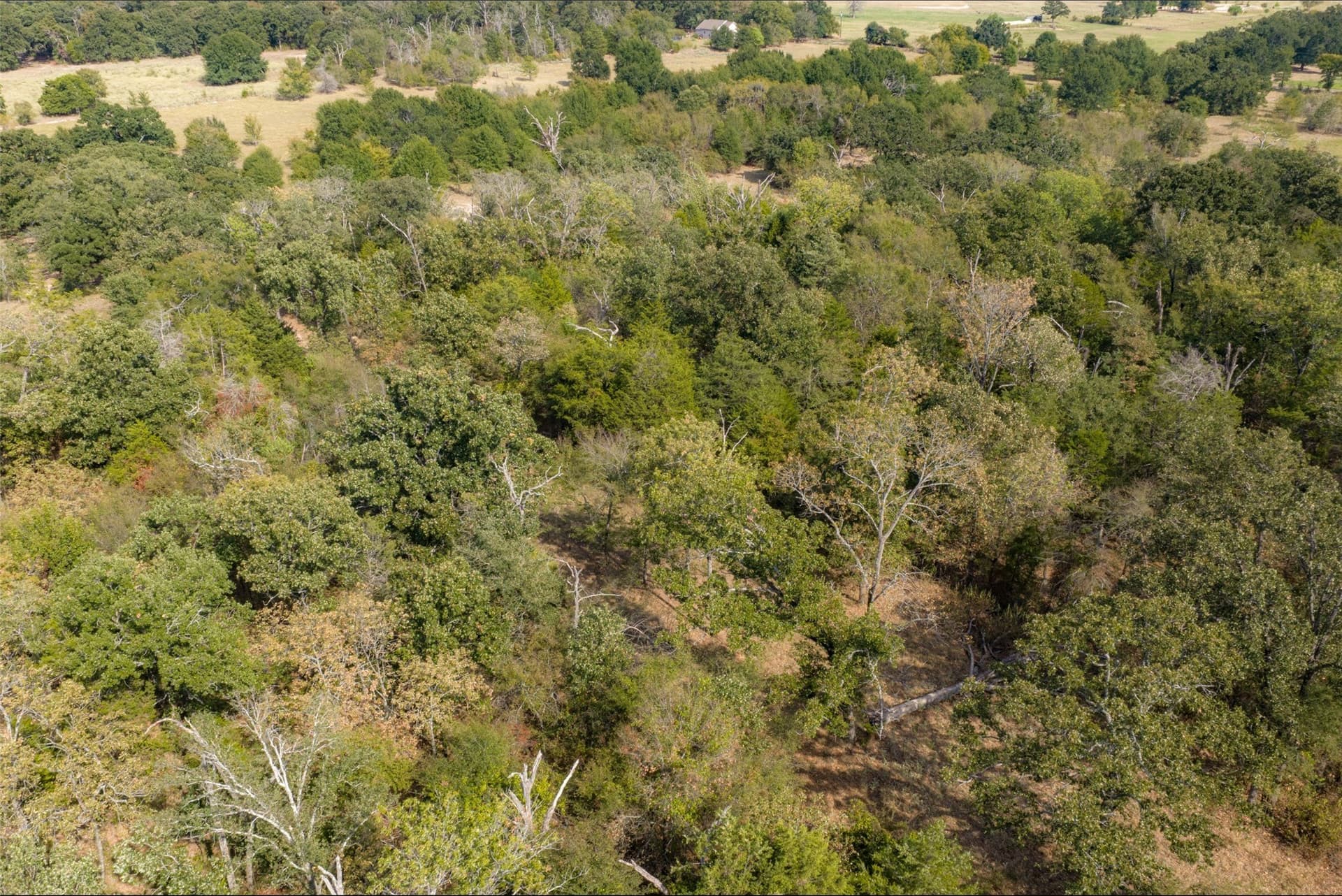 27.8 acres in Van Zandt County - photo 28