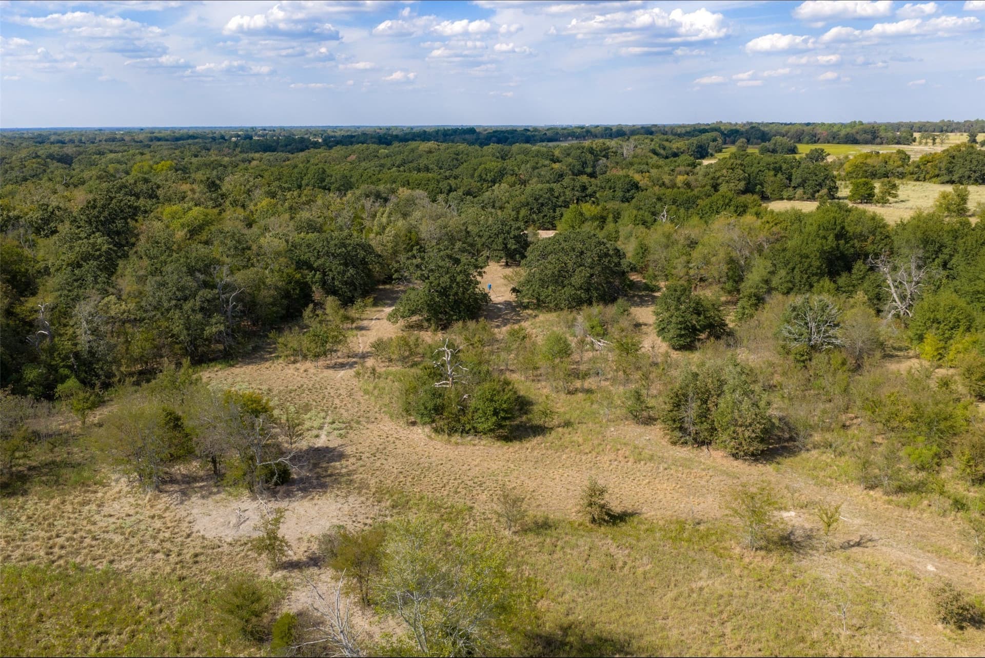 27.8 acres in Van Zandt County - photo 5