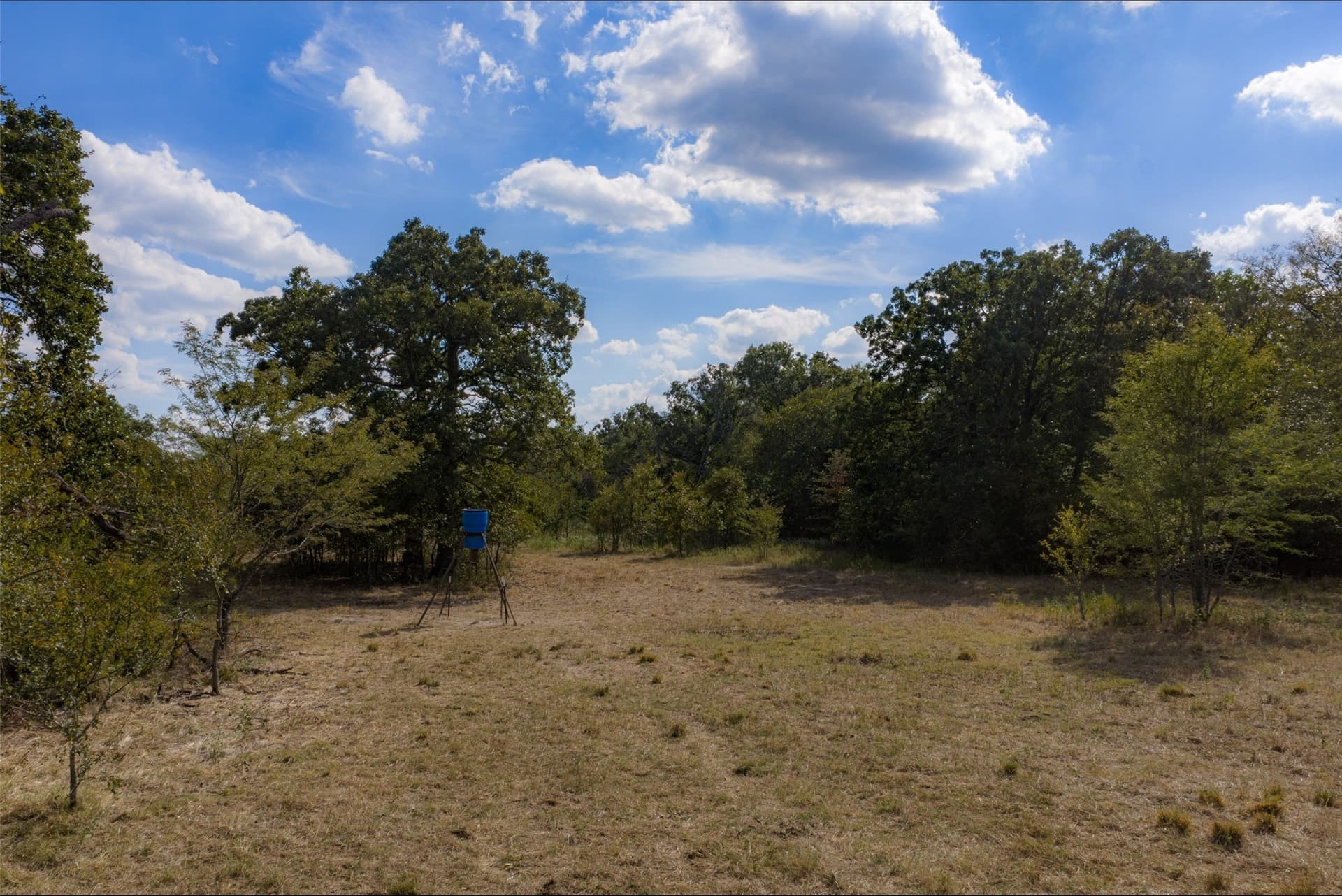 27.8 acres in Van Zandt County - photo 35