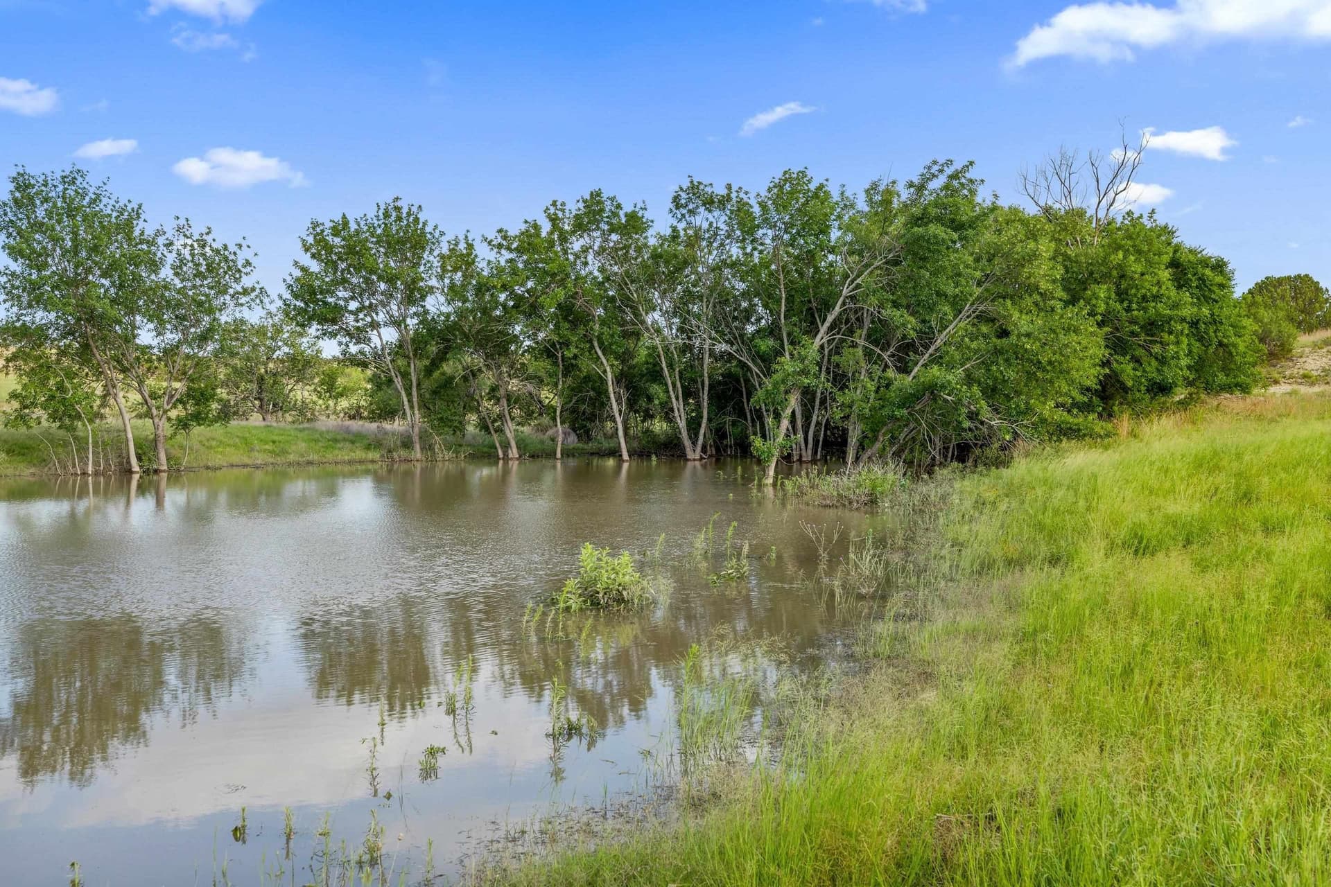 93.99 acres in Burnet County - photo 30
