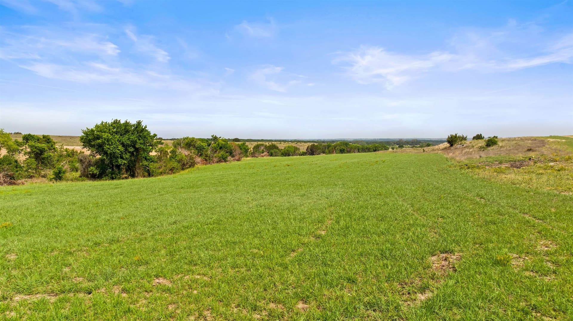 93.99 acres in Burnet County gallery image 4