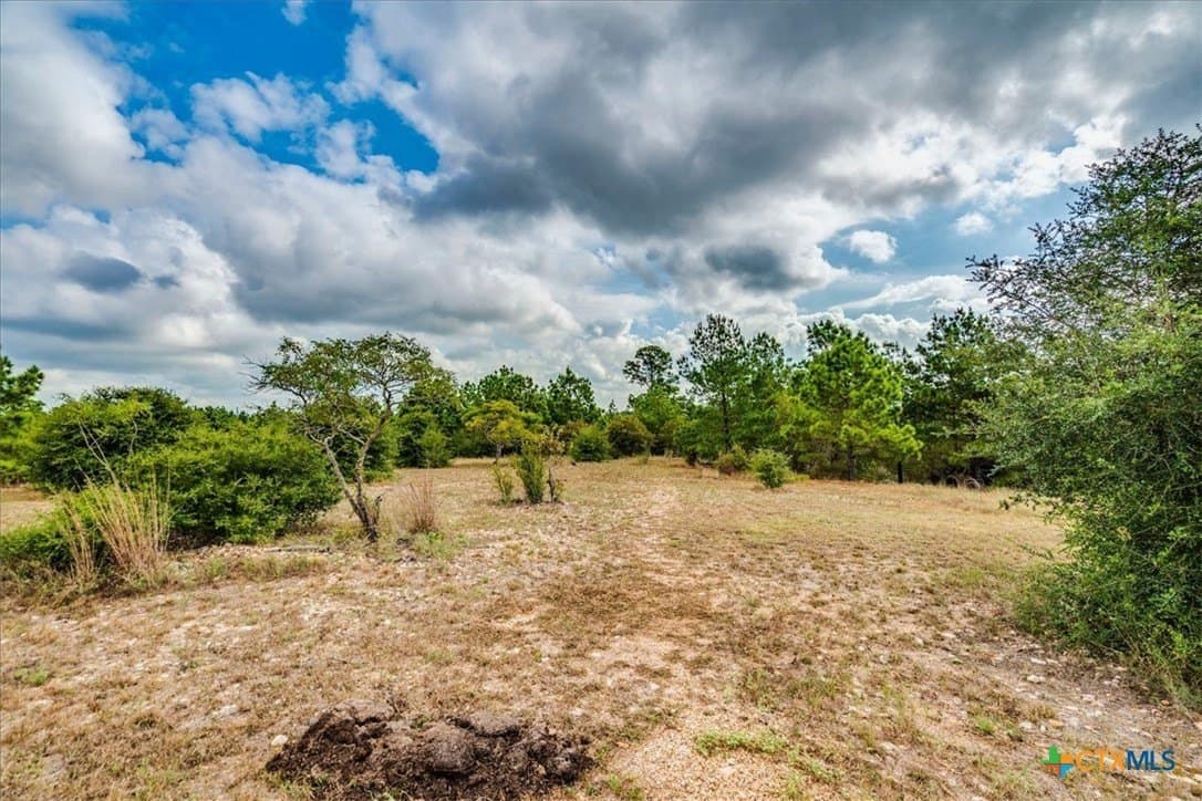 13.3 acres in Bastrop County - photo 44