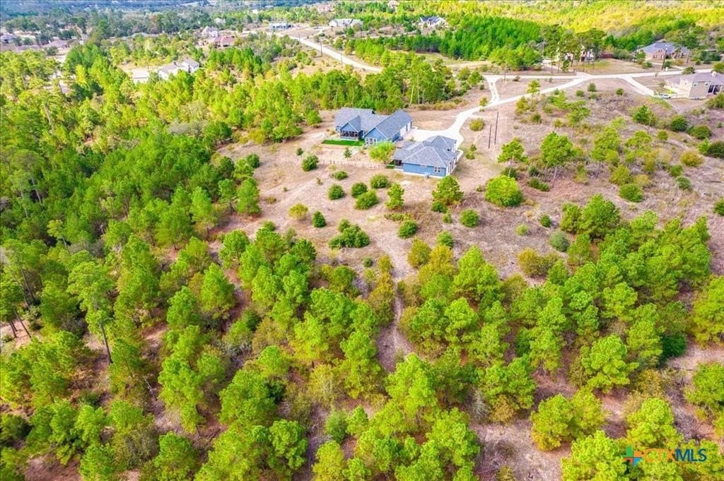 13.3 acres in Bastrop County - photo 47