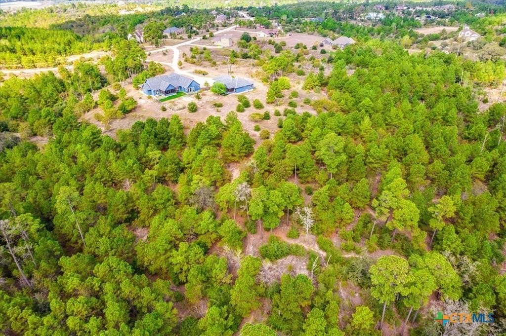 13.3 acres in Bastrop County - photo 48
