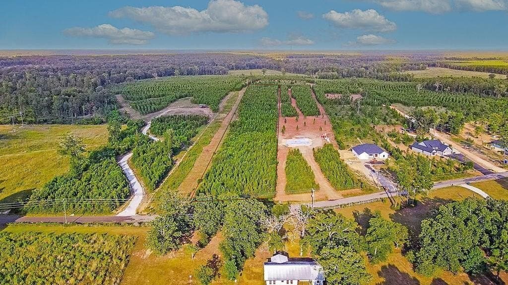5 acres in Texas County - photo 3