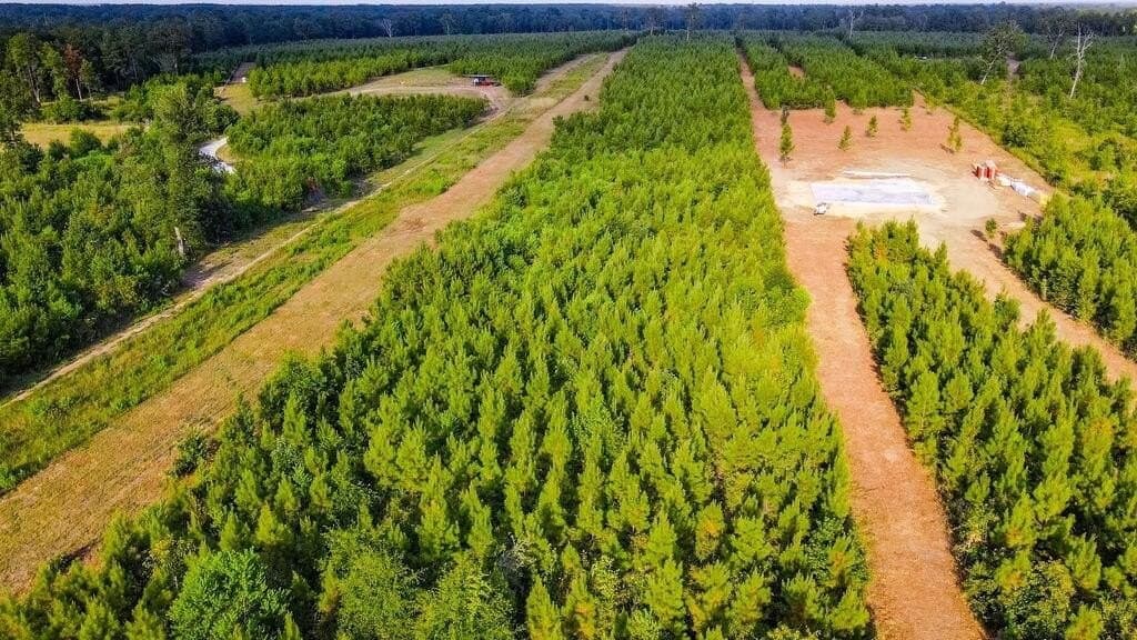 5 acres in Texas County - photo 4