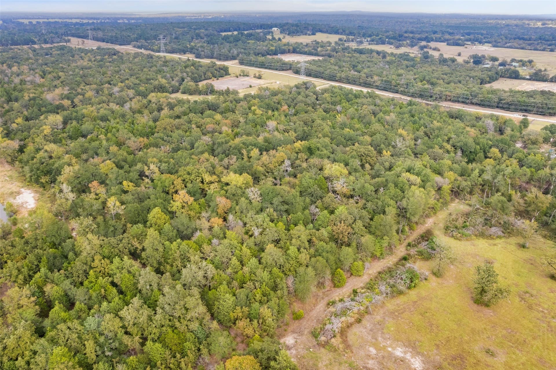 20 acres in Freestone County - photo 4