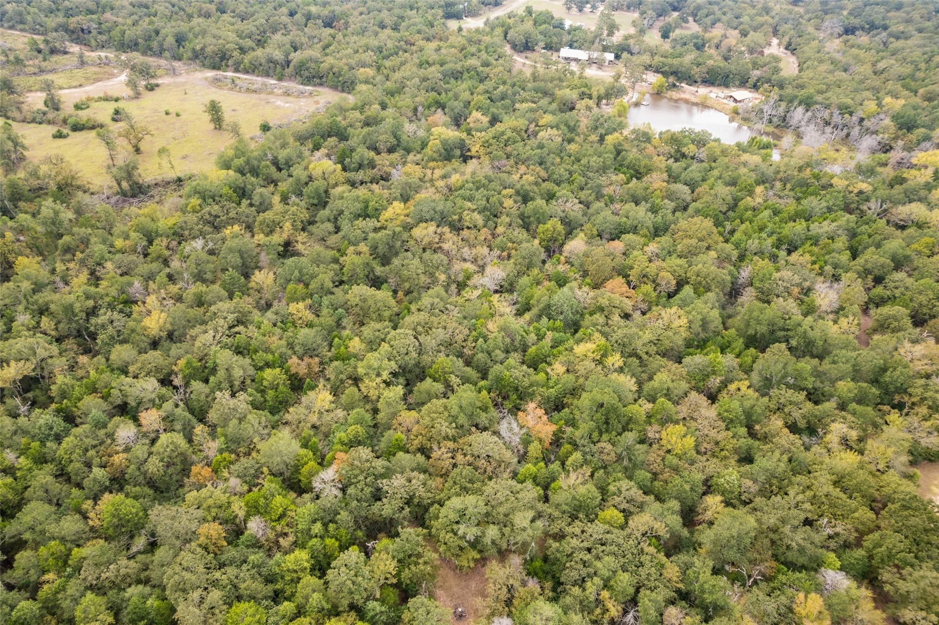 20 acres in Freestone County - photo 3