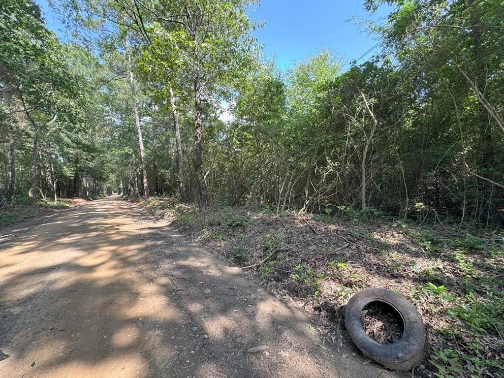 12 acres in Texas County featured view