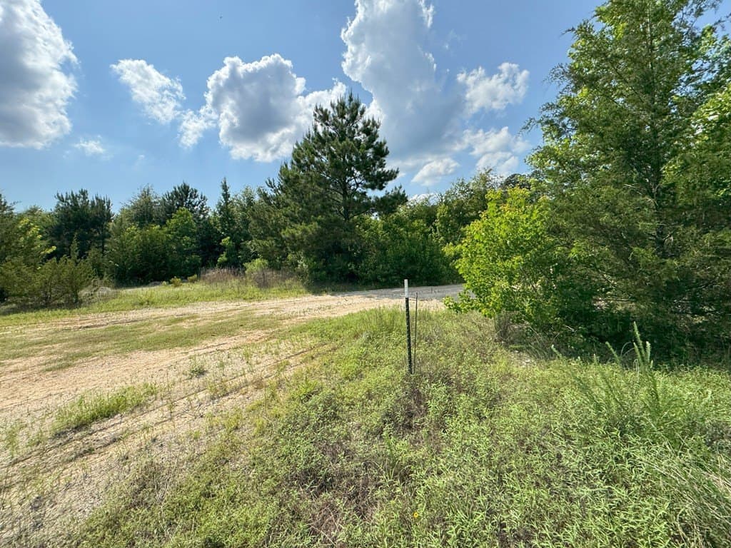 12 acres in Texas County gallery image 4