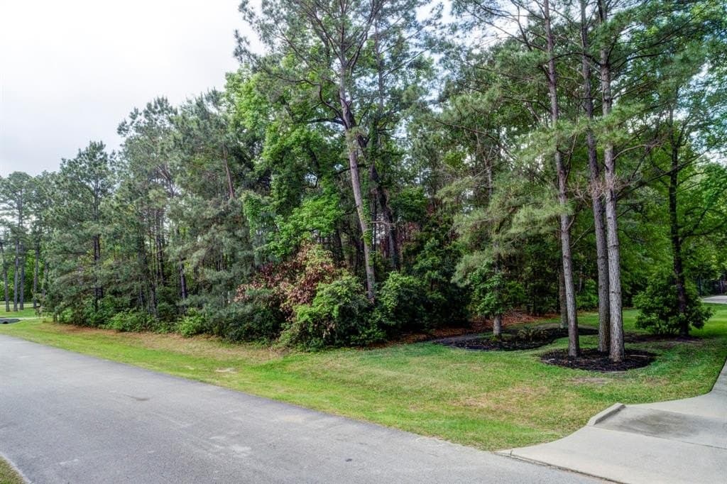 0.98 acres in Montgomery County gallery image 3