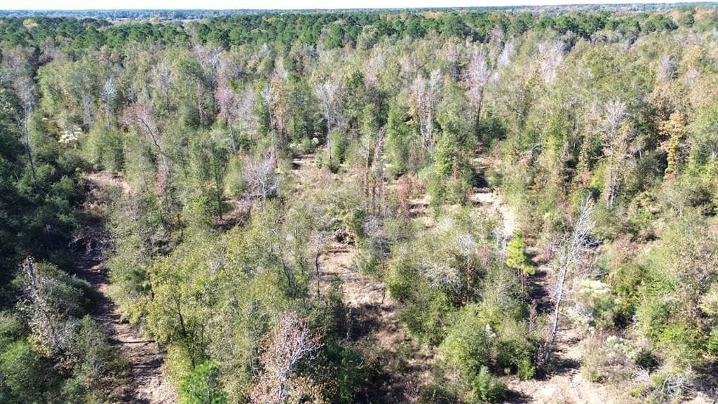 41.2 acres in Texas County