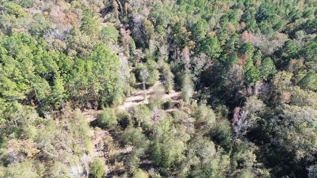 41.2 acres in Texas County gallery image 3