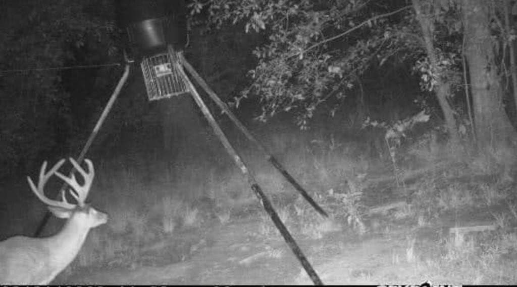 104 acres in Texas County - photo 14