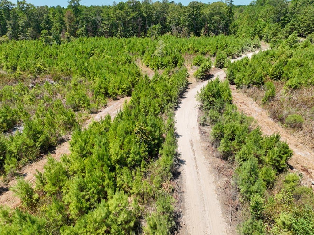 104 acres in Texas County - photo 11