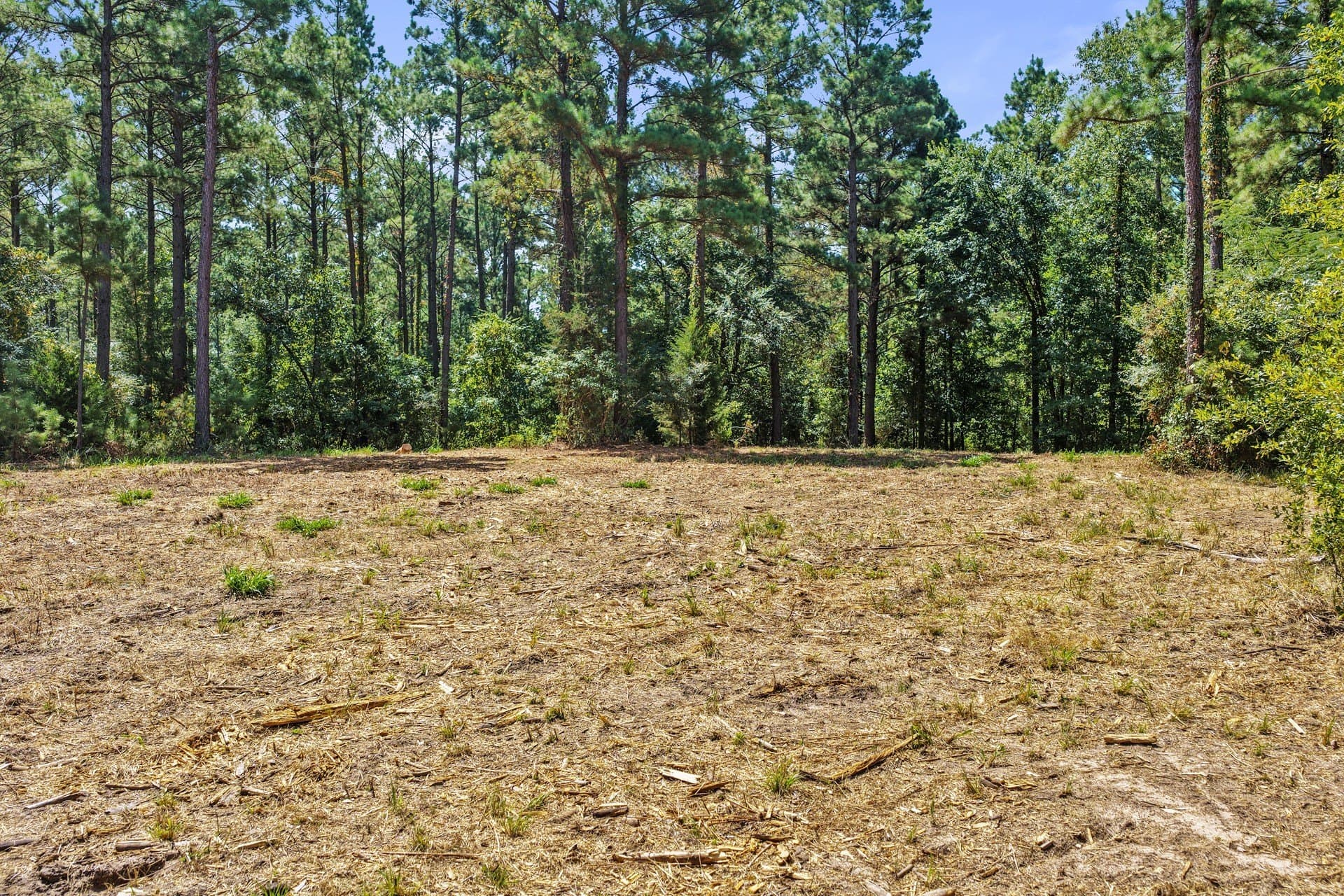10.33 acres in Camp County - photo 23