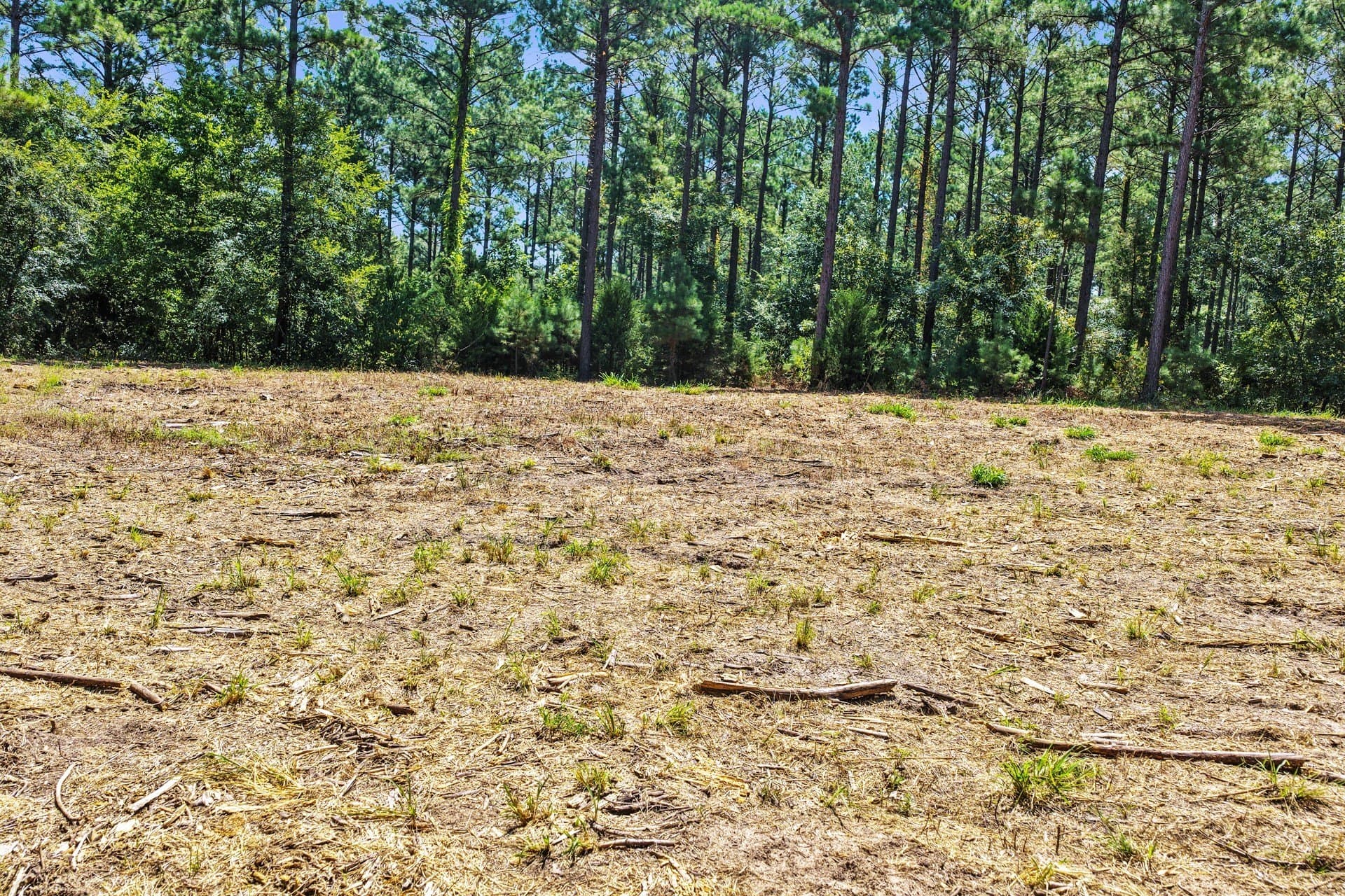 10.33 acres in Camp County - photo 21