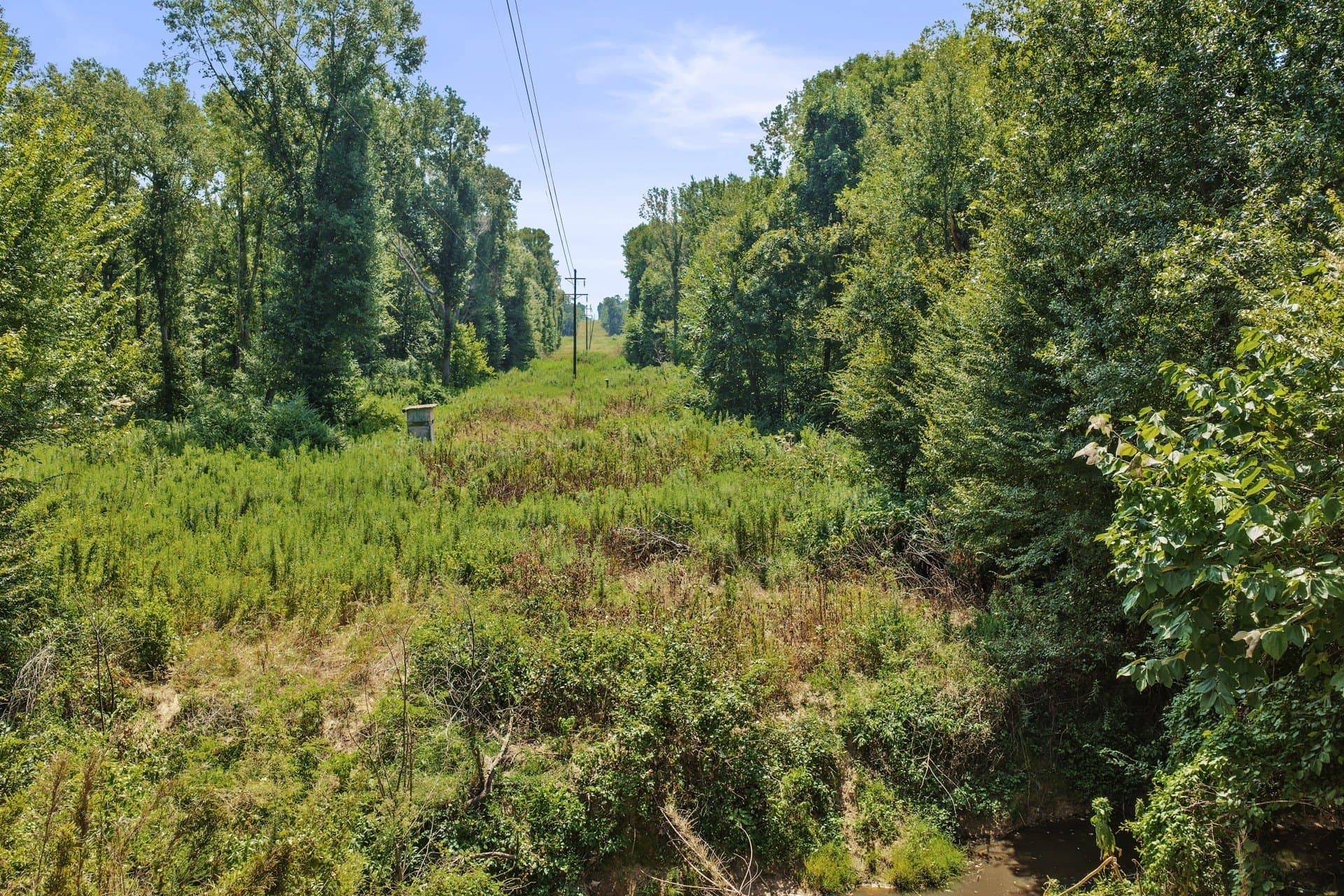 10.33 acres in Camp County - photo 24
