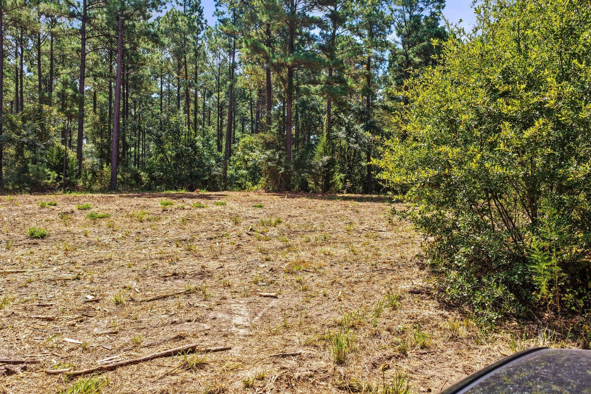 10.33 acres in Camp County - photo 22