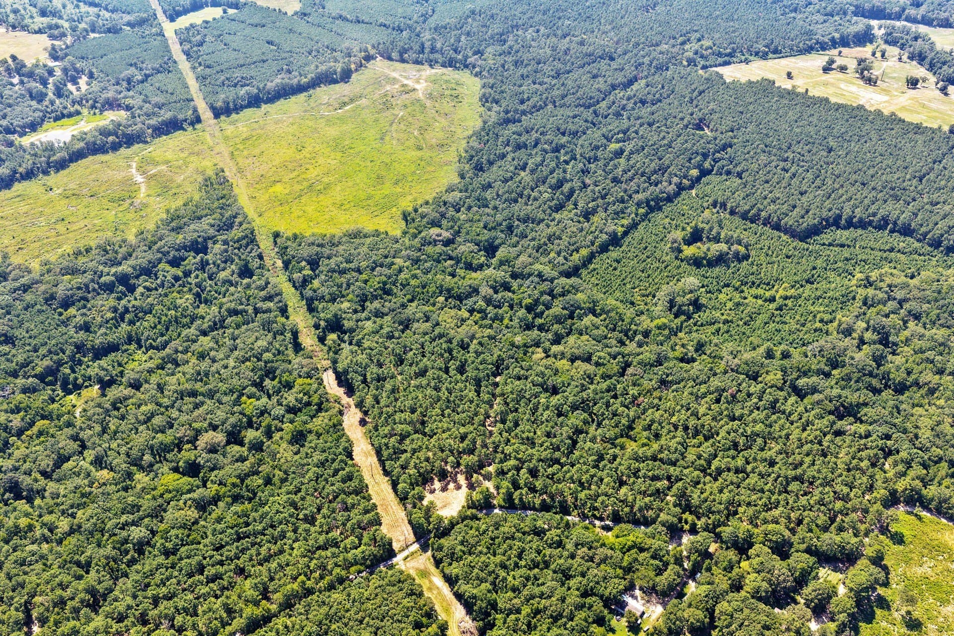 10.33 acres in Camp County - photo 4