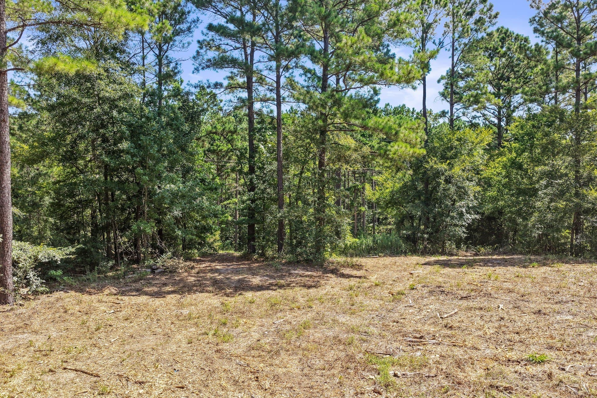 10.33 acres in Camp County - photo 10