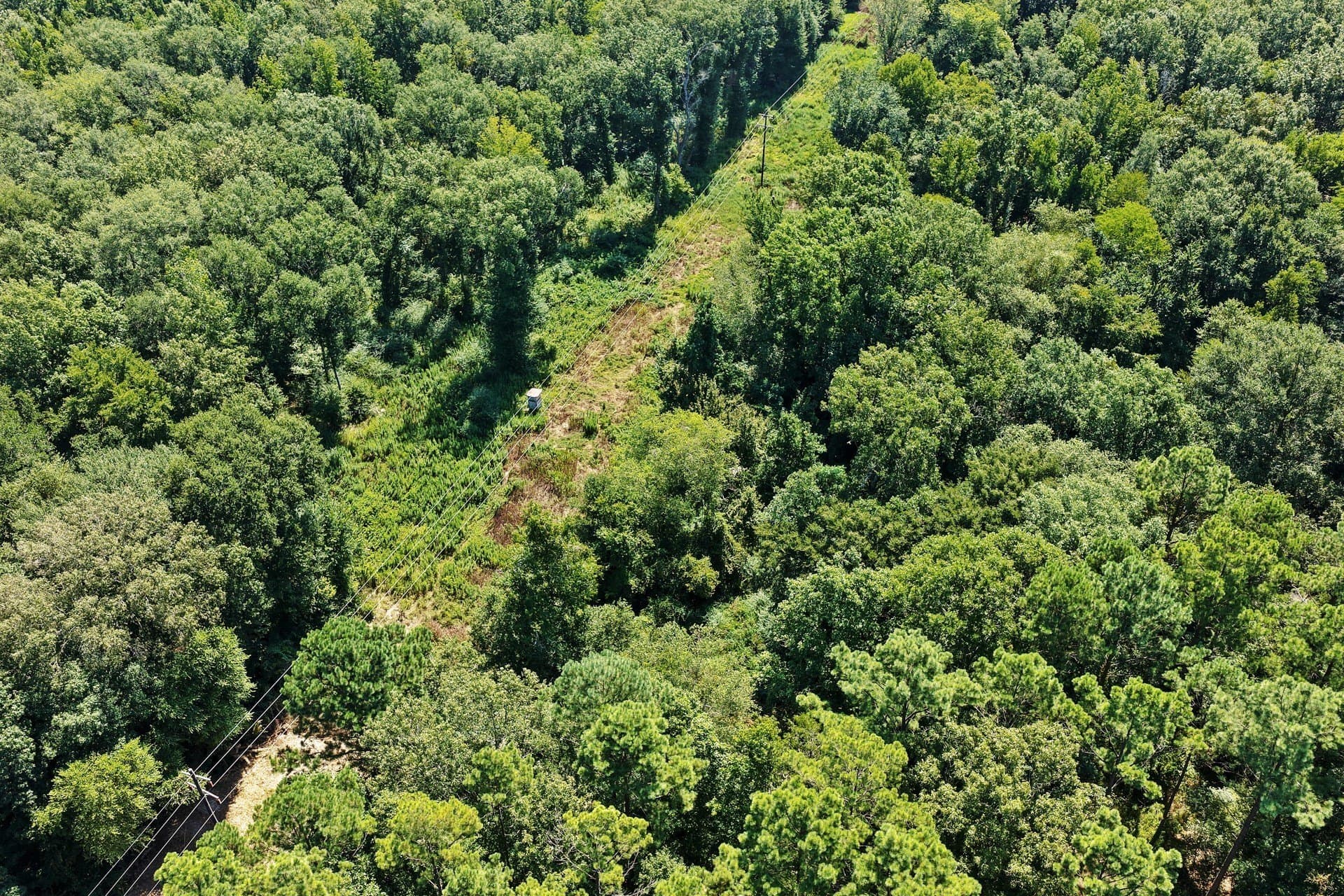 10.33 acres in Camp County - photo 8