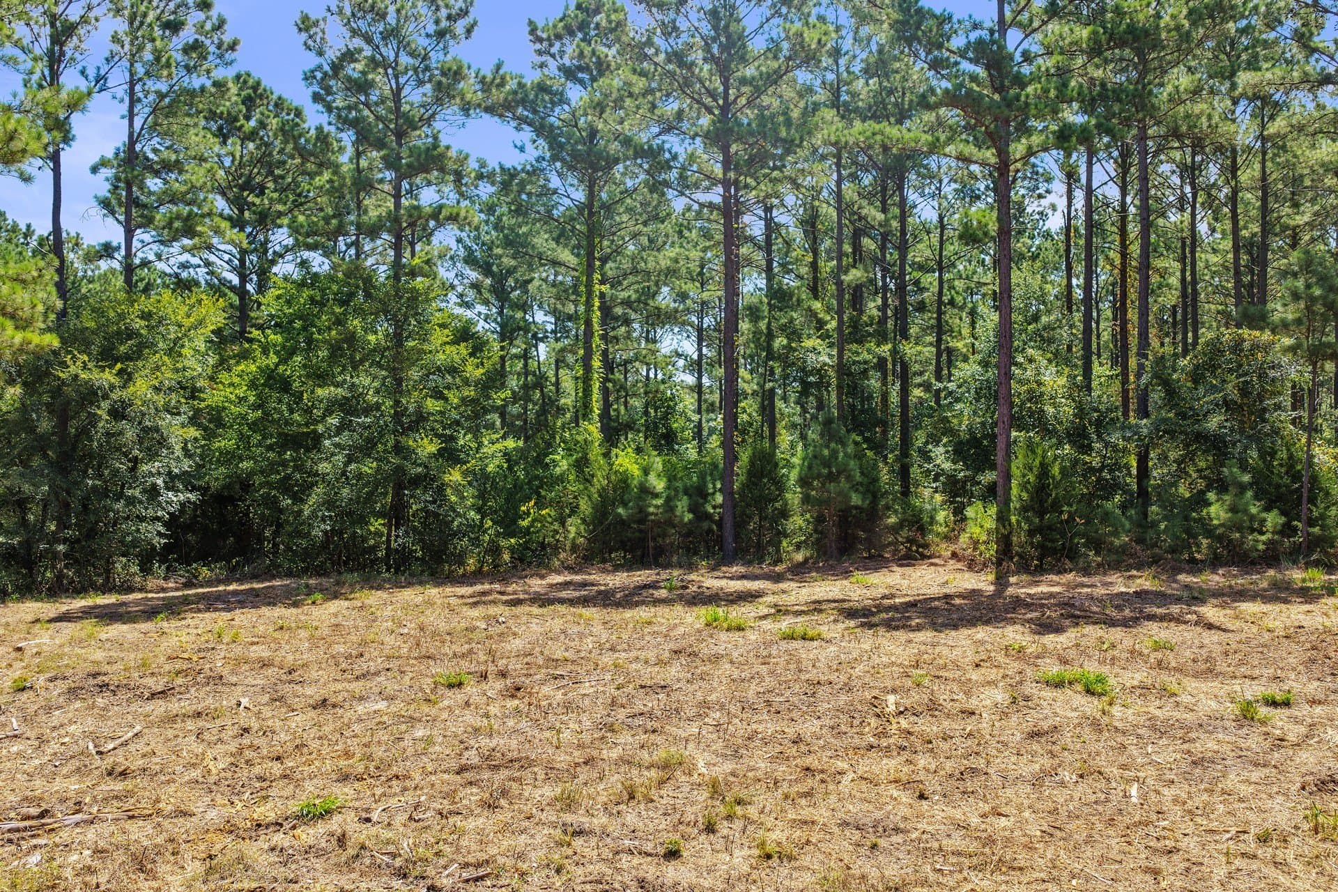10.33 acres in Camp County - photo 11