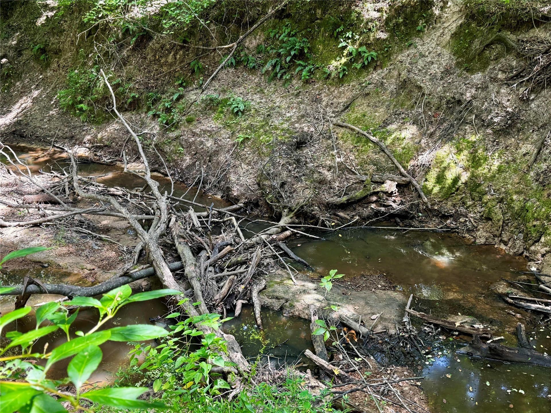 10.33 acres in Camp County - photo 2