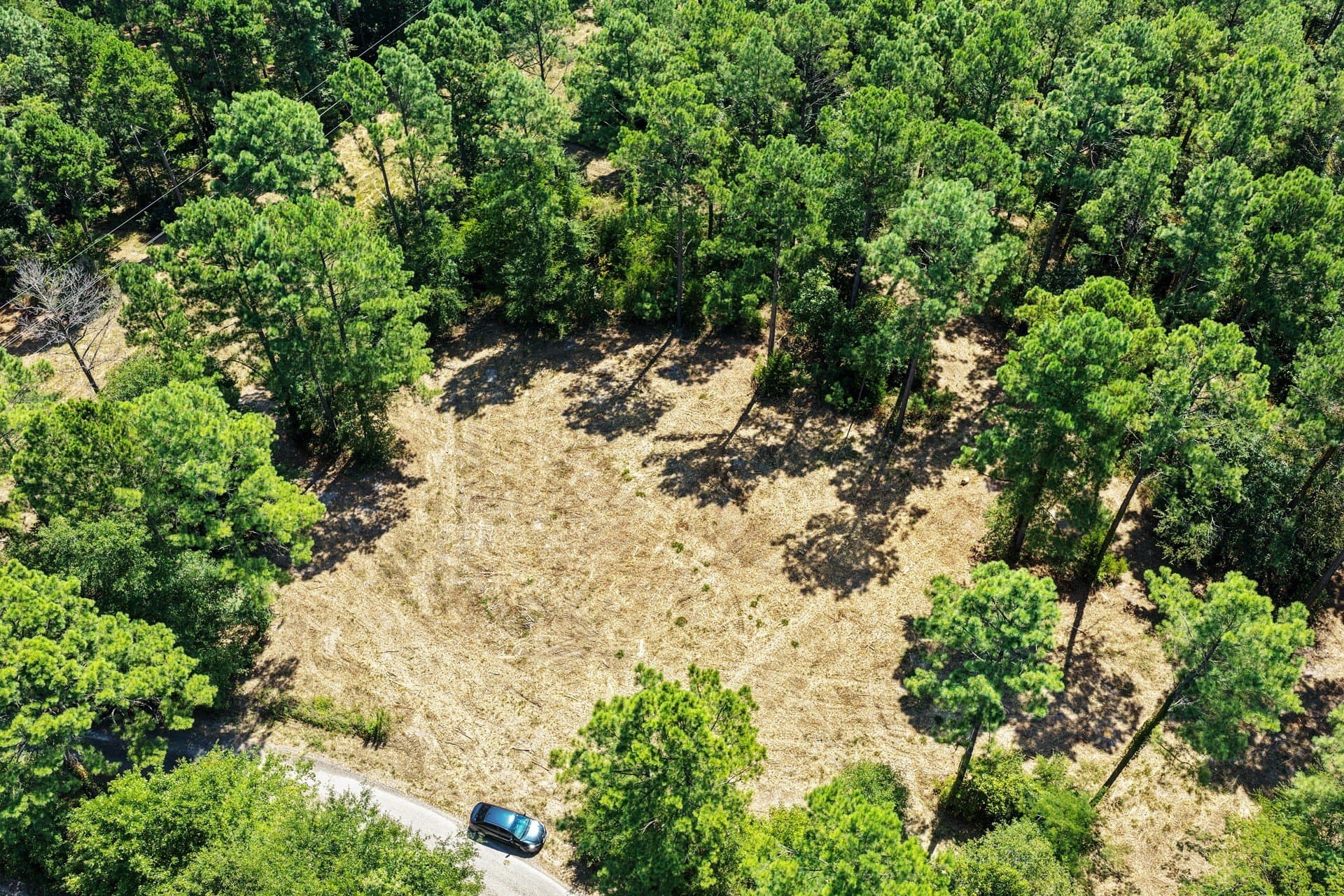 10.33 acres in Camp County - photo 6