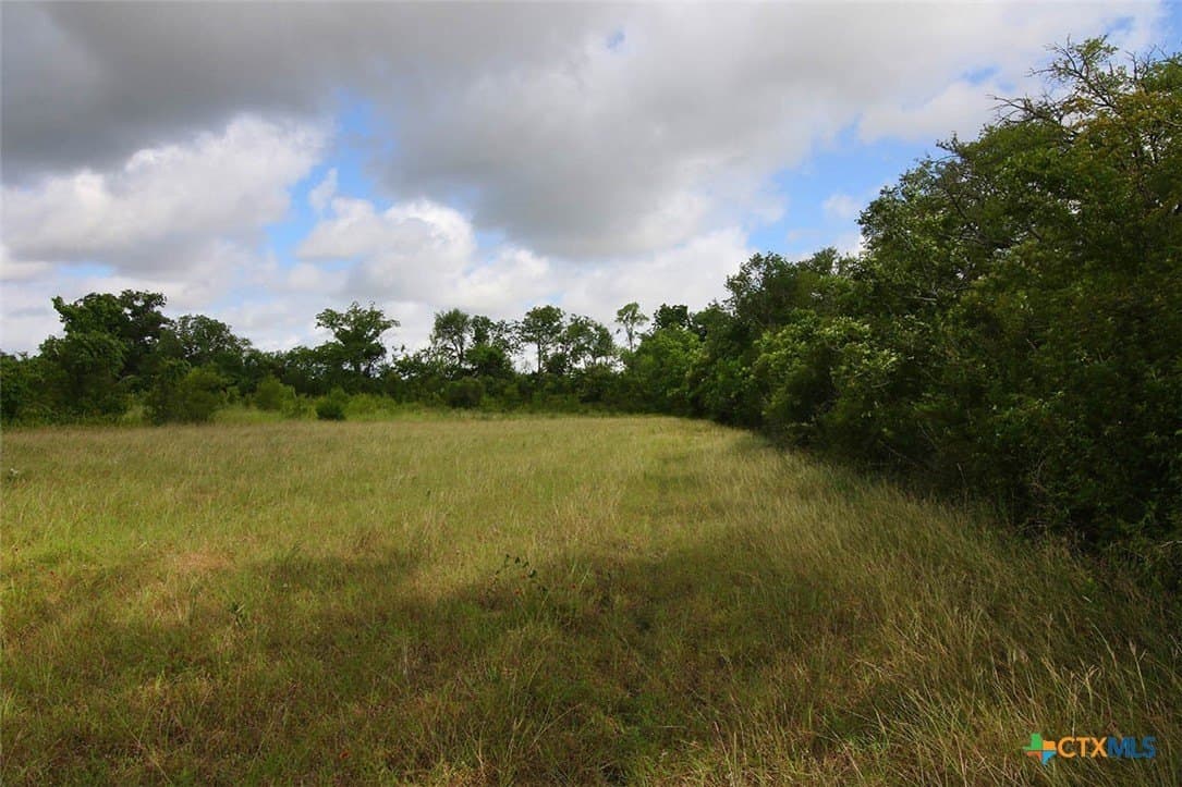 12.31 acres in Bell County gallery image 3