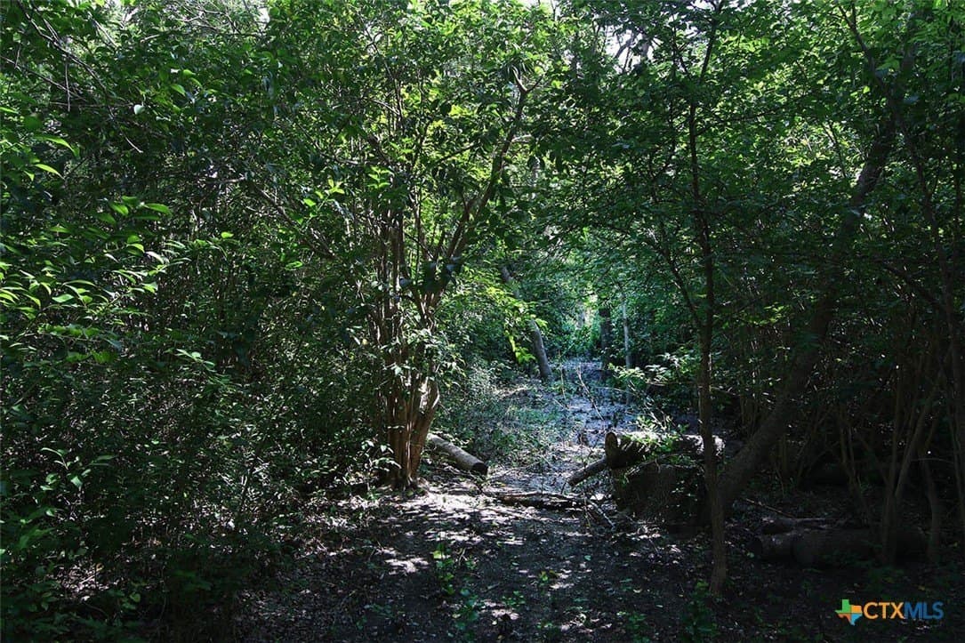 12.31 acres in Bell County - photo 14