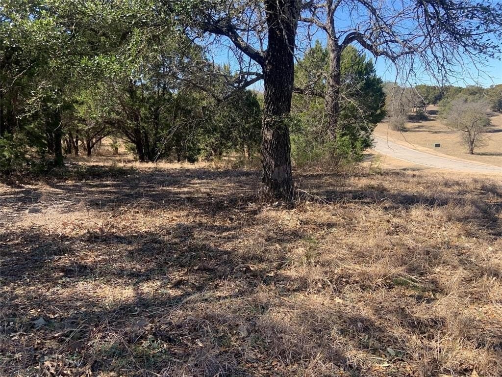 0.51 acres in Johnson County gallery image 3