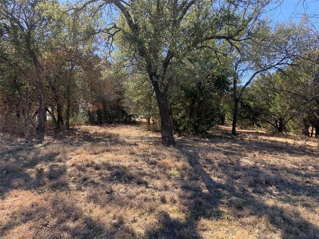 0.51 acres in Johnson County gallery image 4