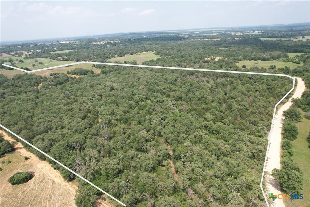 24.5 acres in Milam County gallery image 2