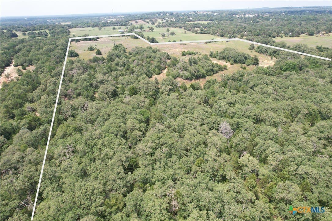 24.5 acres in Milam County gallery image 3