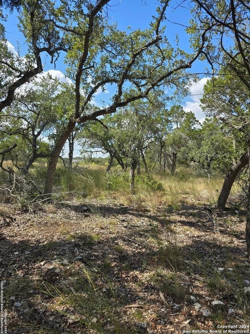 1.94 acres in Comal County - photo 12