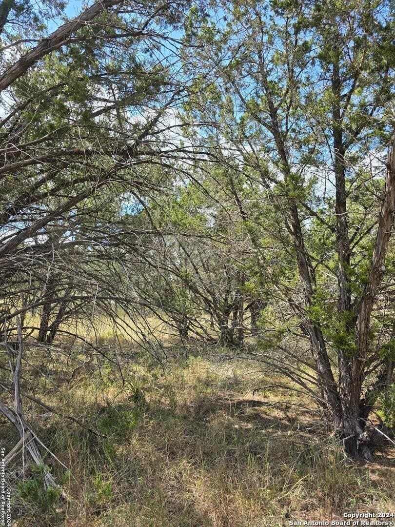 1.94 acres in Comal County - photo 13