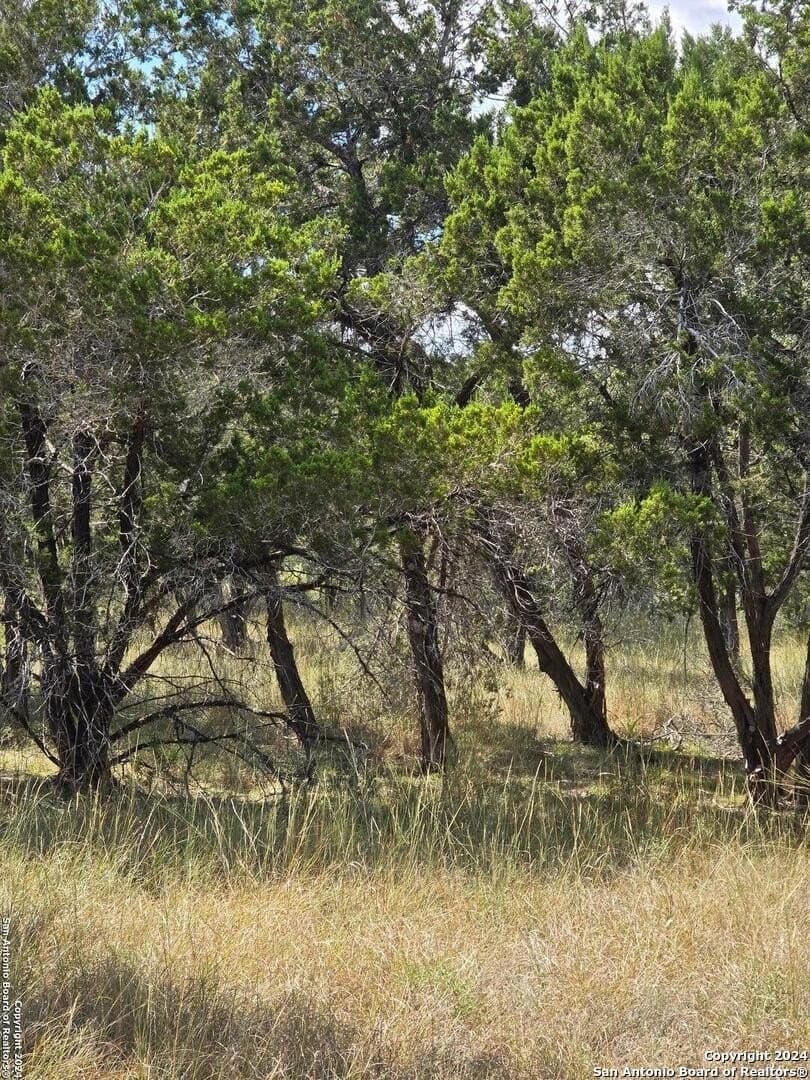 1.94 acres in Comal County - photo 10