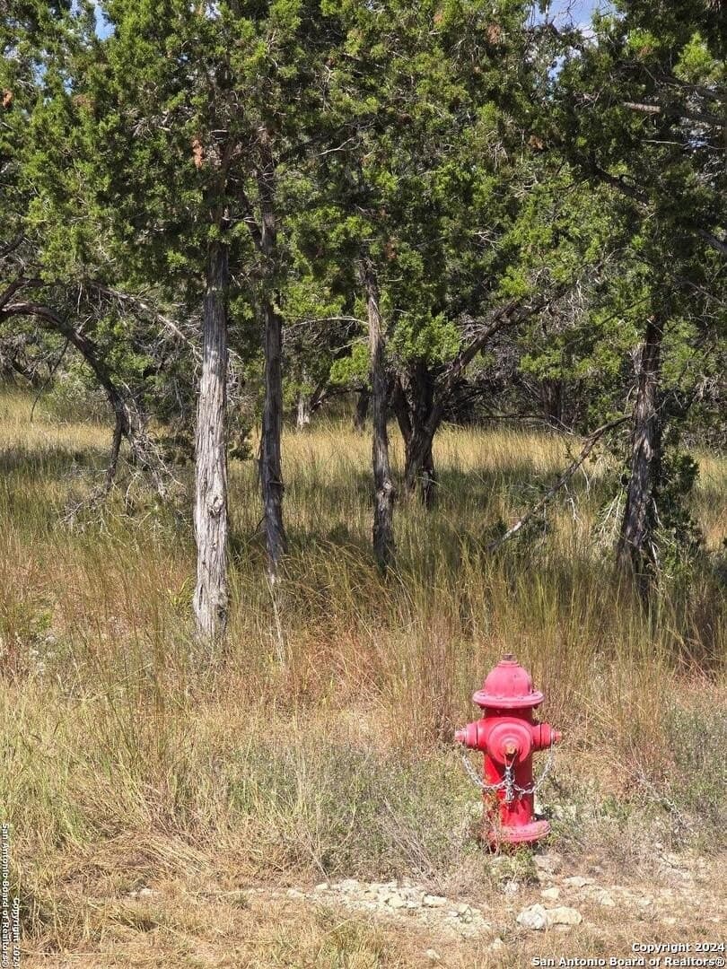 1.94 acres in Comal County - photo 17