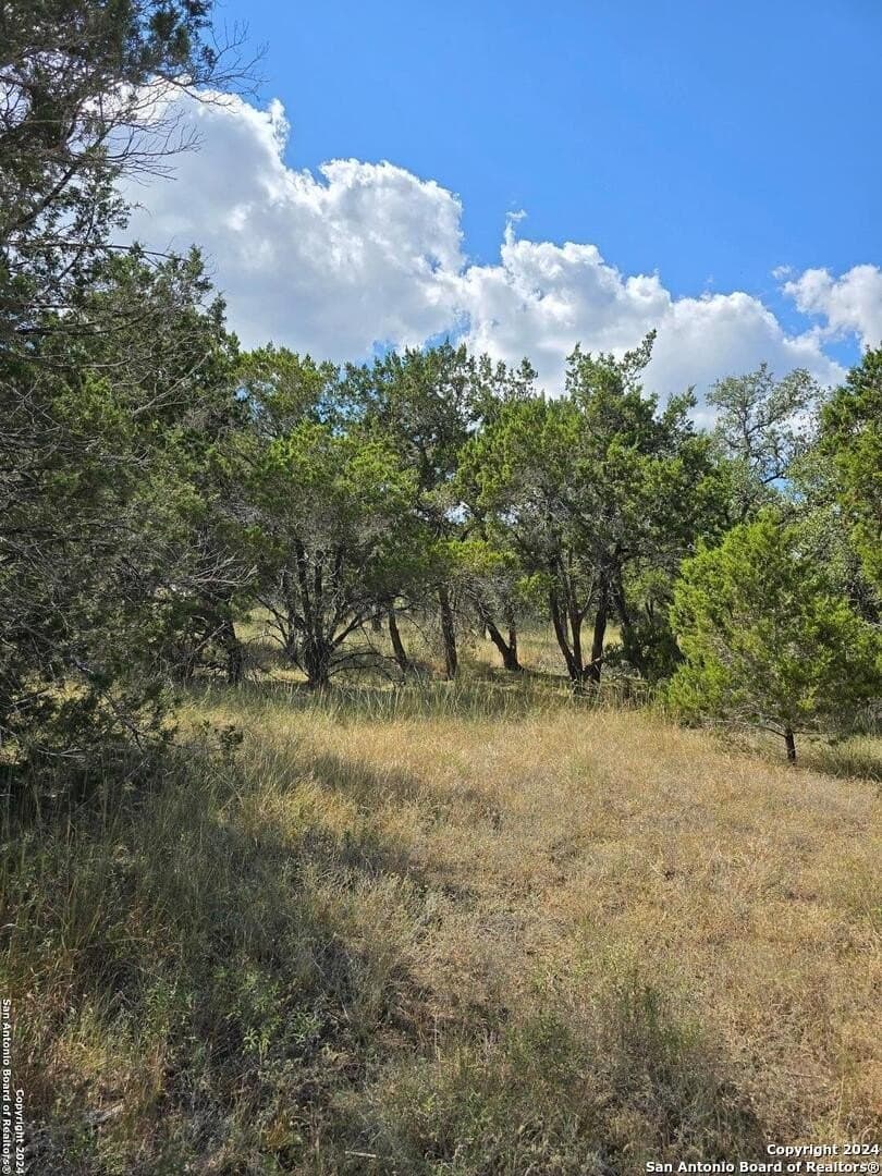 1.94 acres in Comal County gallery image 3