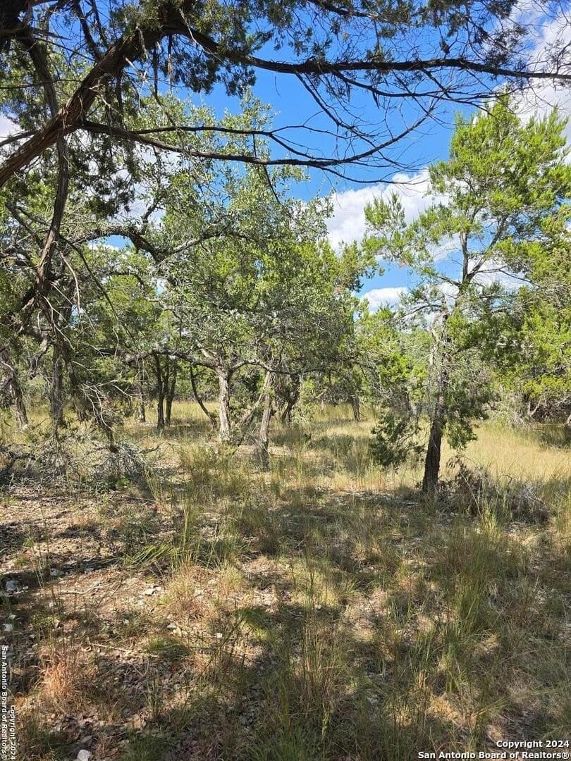 1.94 acres in Comal County - photo 16