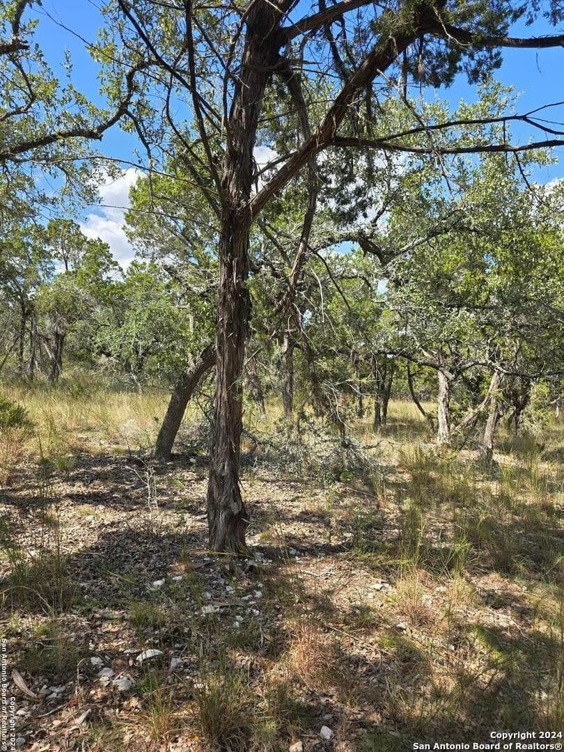 1.94 acres in Comal County - photo 14