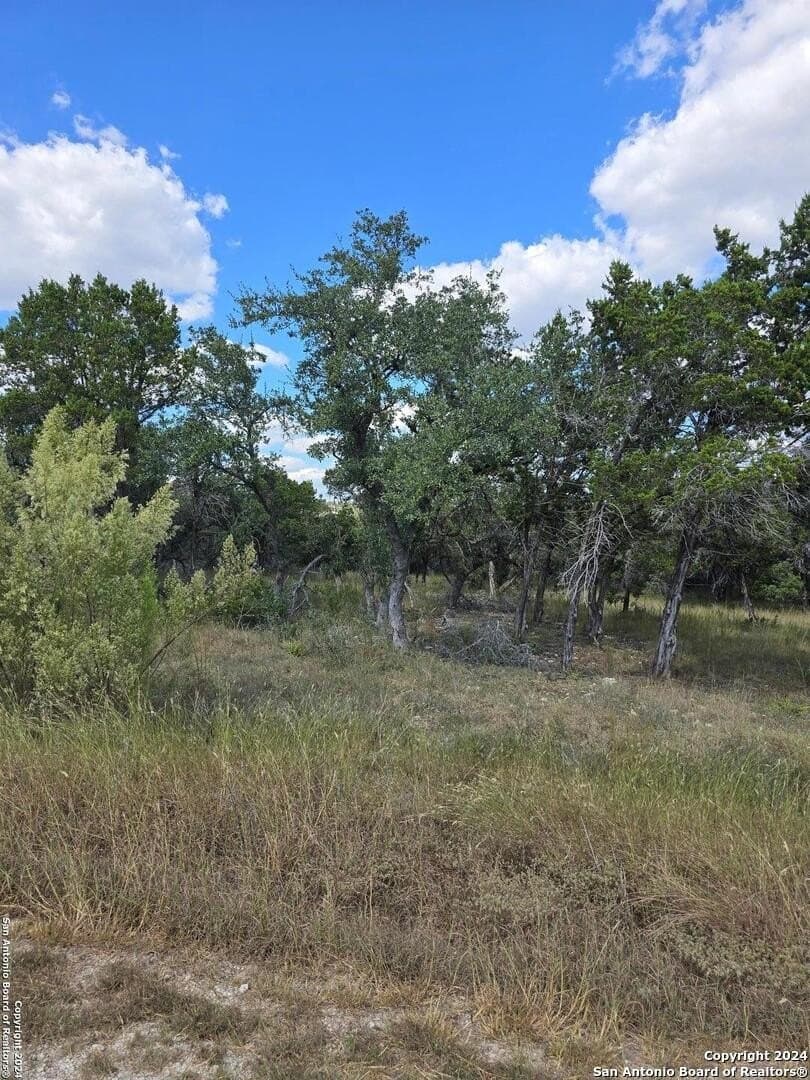 1.94 acres in Comal County - photo 7