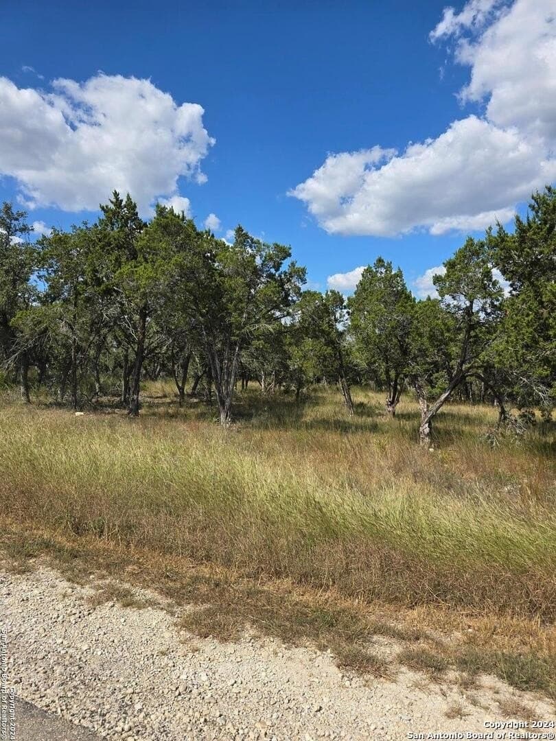 1.94 acres in Comal County - photo 19