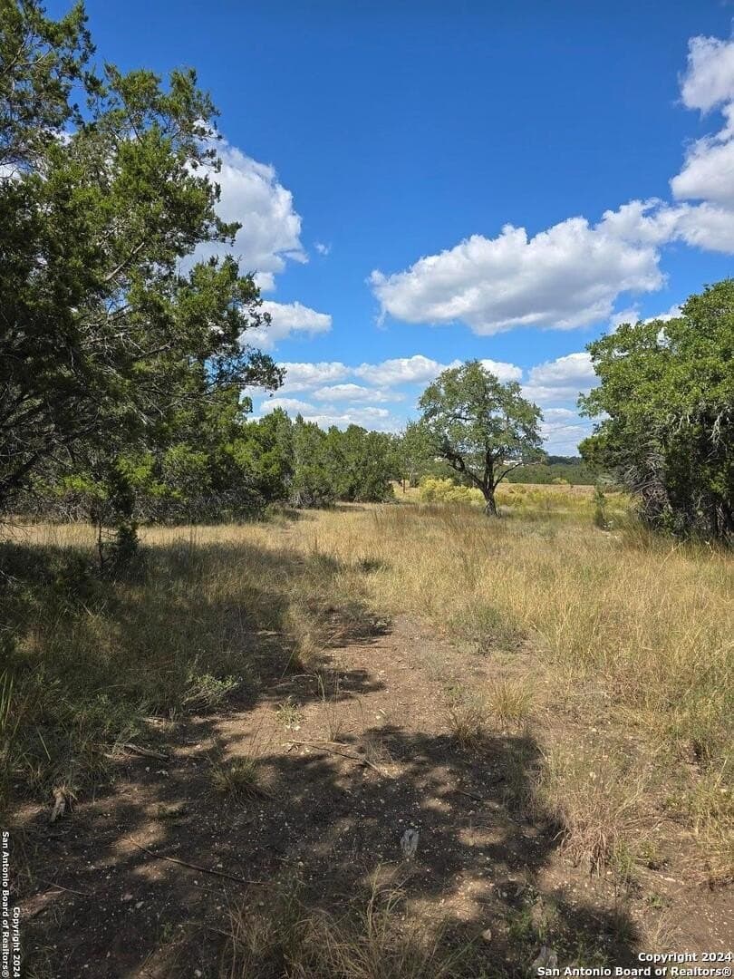 1.94 acres in Comal County gallery image 4