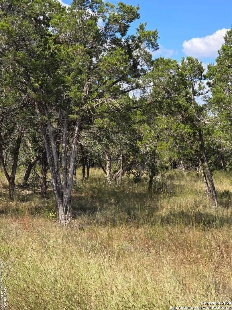 1.94 acres in Comal County - photo 18