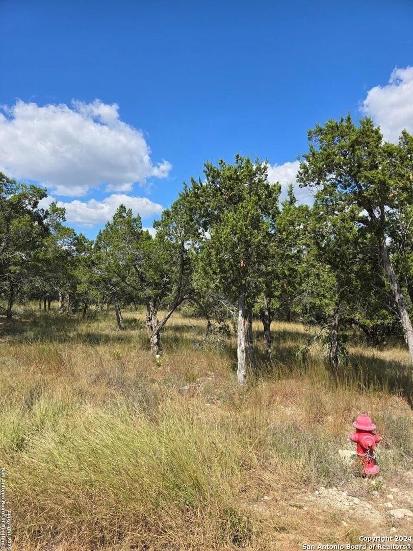 1.94 acres in Comal County - photo 8