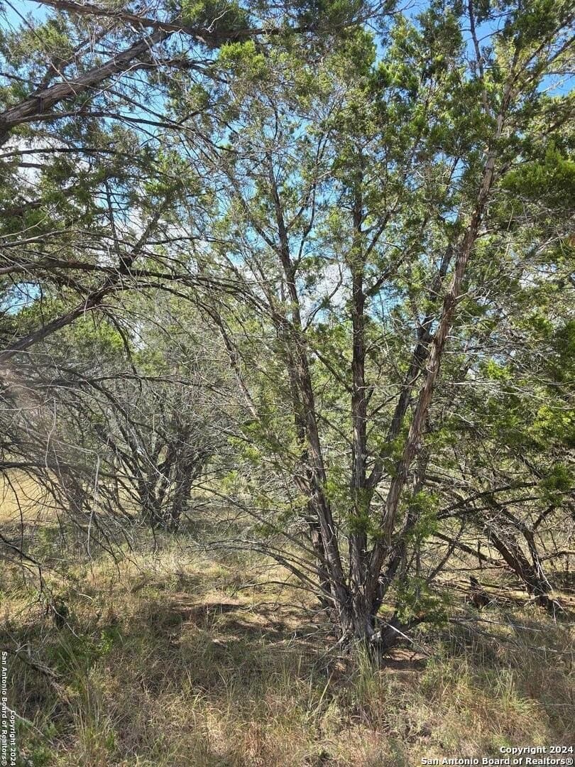 1.94 acres in Comal County - photo 11